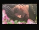 ゲーム熱が冷め始めた男が「ドラッグオンドラグーン2」を実況プレイPart28