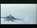 F 14トムキャット vs 零戦もどきT 6.avi