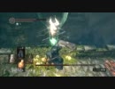 59歳・おやぢのダークソウル 【第２６回・月光蝶戦】