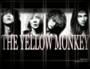 JAM The yellow monkey 歌ってみた