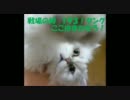 【戦場の絆】鉱山でギガン煙突から敵を落とすぞ！Ｓくらす【１９３！】