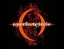 Magdalena - A Perfect Circle