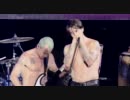 Red Hot Chili Peppers -  Ethiopia (Live Summer Sonic 2011)