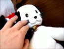 黒猫ファジー★ニャンまげ危機一髪