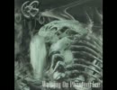 Withering Surface - Night of Shame