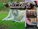【パチスロ】サイバードラゴン２ 一撃9999枚を目指す part14