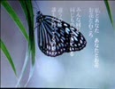 約束　般若心経は愛の詩　山元加津子