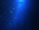 音楽無知人間の駄作自作もたまには載せてみる　『DeepOcean』