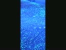 【オリジナル曲】glister