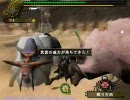 MHF ２頭の牙獣 双剣 1/2