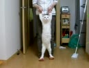 ご主人とシンクロ率100％な猫
