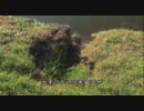 沈黙の副保安官　３