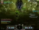 ドラゴンネスト　アクビネスト裏道