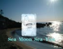 【歌ってみた】Sea Moon See You【子サンジ】