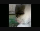 http://www.youtube.com/watch?v=ktrQZcWuKQE