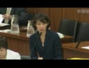 H23/10/27 参院厚労委・丸川珠代