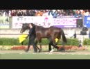 完全密着 シンボリルドルフお披露目