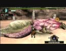 【MHP3】初心者用モンハンのススメ３ｒｄ訓練【大剣】