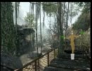 衛生兵見習いのCoD：BOその23　TDMゆっくり実況