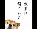 マイピクチャ