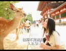 【邦楽】ガールズ・ガレージロック集てきな【作業用BGM】