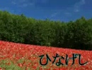 【初音ミク】ひなげし【修正版】