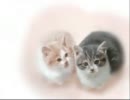 【猫好きな俺が選抜するねこねこ動画】part2