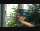 リスがまわされるだけ