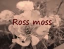 【MEIKO生誕祭2011】Ross moss【MEIKOオリジナル】