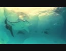 Serenades - Oceans
