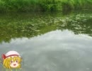 ［ゆっくり実況］フランちゃんの釣りきこ・うー☆PART1［SFCつり太郎］