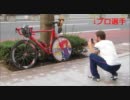 【テトさん号で】ジャパンカップに行って来た【レース観戦】