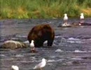 初めて動画をうｐしてみた