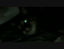 ねこ