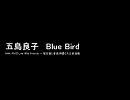 五島良子  Blue Bird