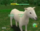 はじめての無人島生活に憧れてサバイバルキッズWii【19漂流】