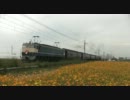 EF65　ELいせさき号@駒形～伊勢崎