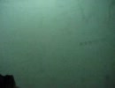20111104-2.mp4