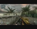 【CoD:BO】がんばってTDM M14【PC】