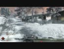 【CoD:BO】がんばってTDM AUG【PC】