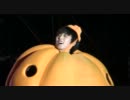 [ソンミンFanCam] 埋まったカボチャ　101225