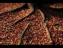 【オリジナル曲】　Something to live