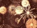 ☆MATURI☆