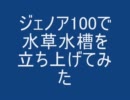 ジェノア100de水草水槽【 ジェノアレイアウトコンテスト】