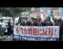 11/5「増税が国を滅ぼす！国民集会」