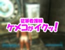 【FALLOUT3】従軍看護婦ケメコがイクッ！_その009【素動画】