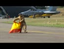 NATO軍　タイガーミート演習の飛行機誘導員