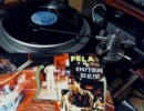 Fela Kuti Everything Scatter