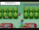 自作の改造ポケモンを自分でプレイしてみたったpart2