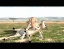 鎌首の『AFRIKA』満喫生活(4)